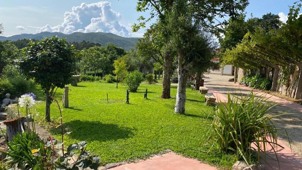 Quinta Dos Amores Ponte de Lima Luaran gambar